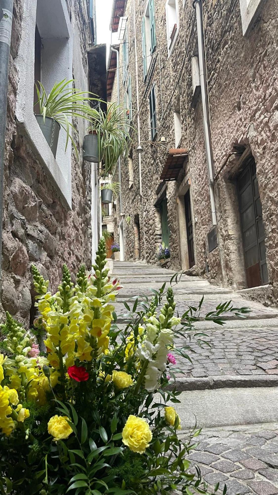 Le Bijou Di Dolceacqua, Per Un Momento Memorabile. Apartment Exterior foto